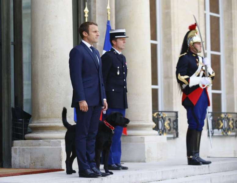 Macron et son chien