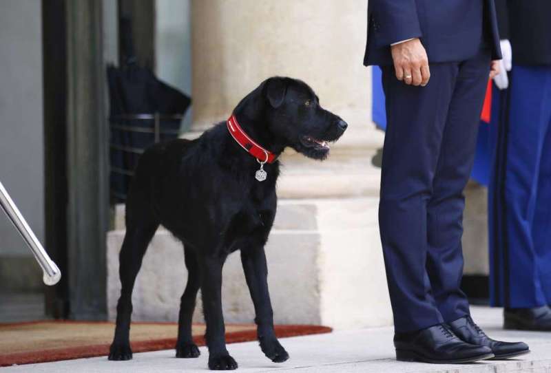 Macron et son chien2