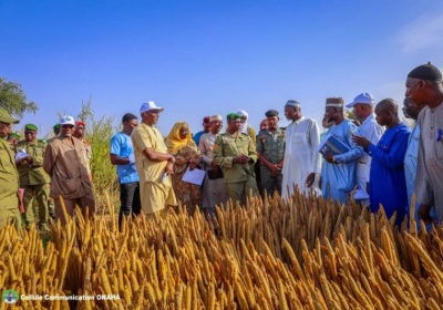 Suivi de la campagne agro-pastorale : le ministre Bilaly dans la région de Niamey