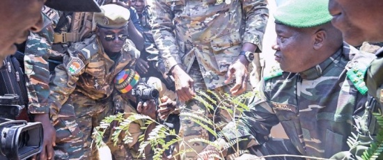 3e édition de la Journée Nationale de l'Arbre : à Maradi, une célébration sous le signe du développement durable et de l’hommage à la résistance coloniale