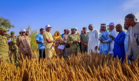 Suivi de la campagne agro-pastorale : le ministre Bilaly dans la région de Niamey