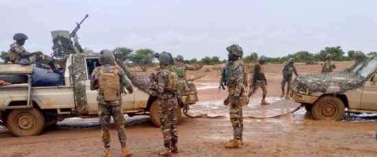 Insécurité : une dizaine de soldats tombés dans une attaque de Boko Haram à N'Guigmi (Diffa)