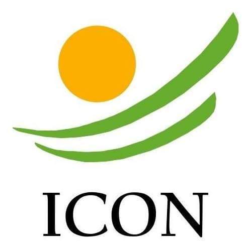 Logo ONG Icon Niger