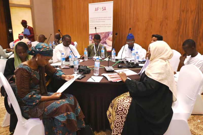 Conference AFSA Niamey BIS3