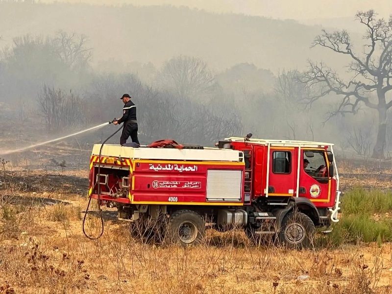 AlgerieIncendie