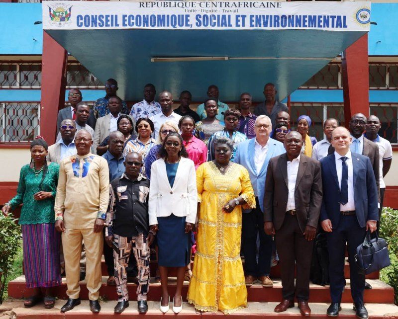 CESE Centrafrique
