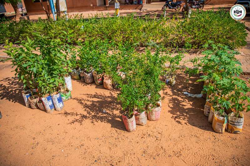 EMMNR JNA Niamey BIS6