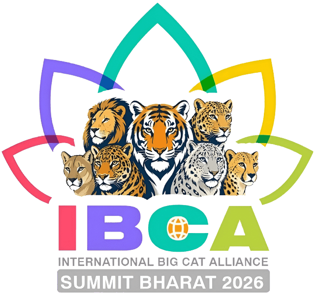 IBCA SUMMIT 2026