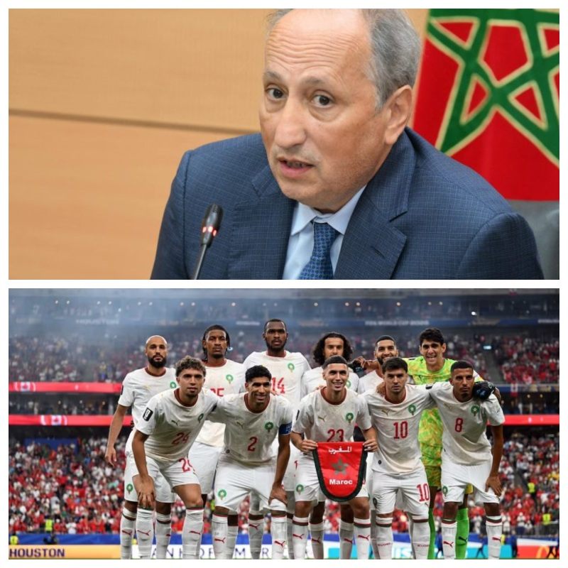 Mohamed-Saad-Berrada_montage_lions