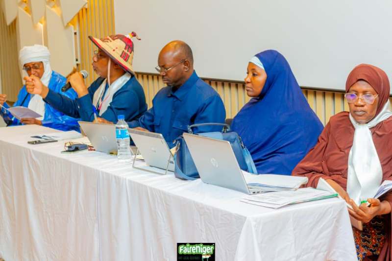 Panel faireNiger 10 12 2025