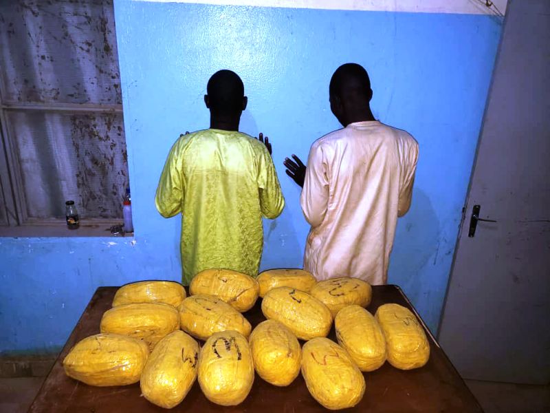 individus arretes OCTRIS Konni