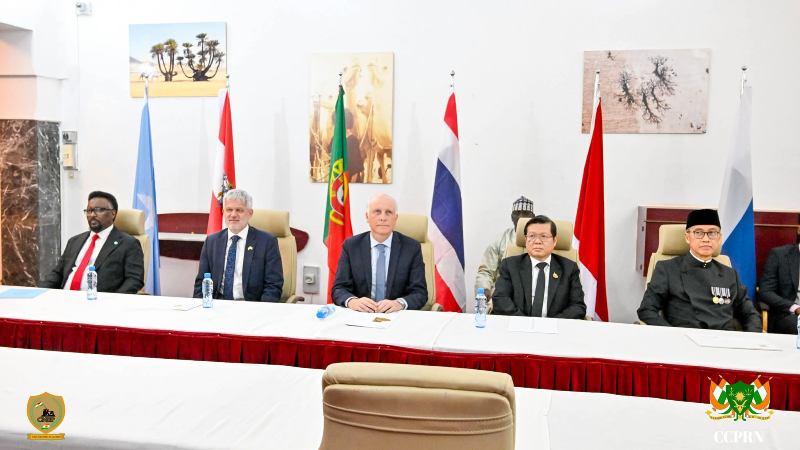 lettres creance ambassadeurs recu par Tiani 15 01 2026