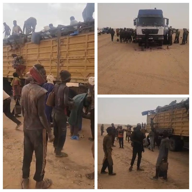 nigeriens sauves desert Agadez