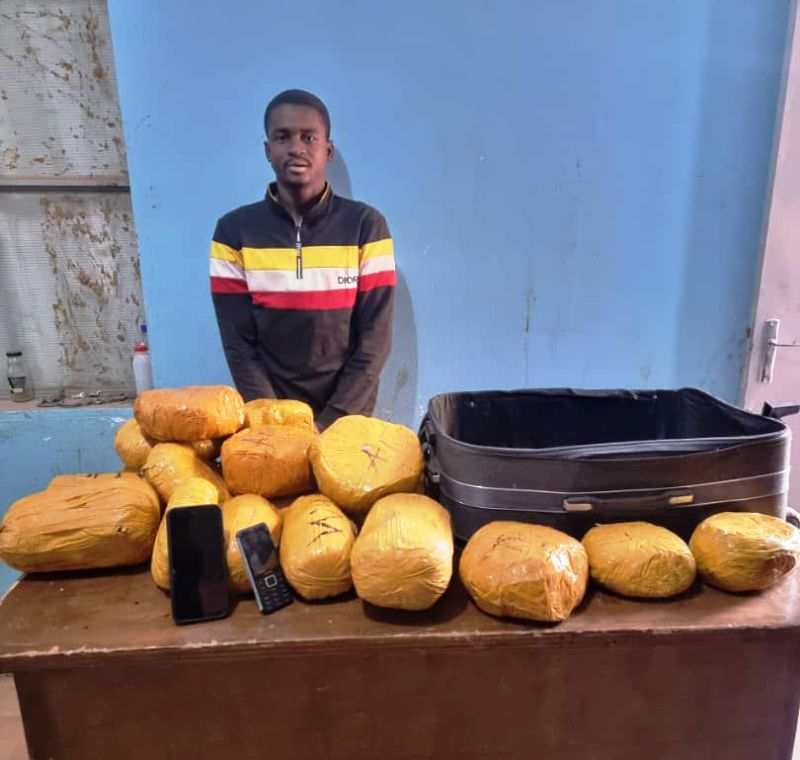 traficant drogue nigerien arrete Konni