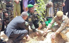 Berbékya – Zinder : le Président Tiani donne le coup d’envoi de la Journée Nationale de l’Arbre 2025, placée sous le sceau du patriotisme écologique
