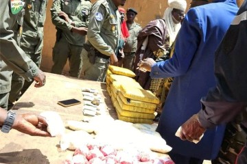 Gaya : plus de 30 000 comprimés de drogue et 15 kg de cannabis saisis par l’OCRTIS