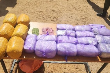 Abalak : plus de 19 kg de cannabis et 852 comprimés saisis, l’OCRTIS met en échec un axe Nigéria–Mali–Algérie