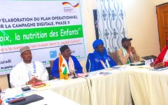 Lutte contre la malnutrition infantile au Niger : ACF Espagne mobilise les acteurs pour bâtir le plan opérationnel de la campagne digitale 