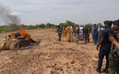 Dosso : Plus de 300 kg de drogues d'une valeur de 420 millions F CFA incinérés pour marquer la lutte contre le trafic