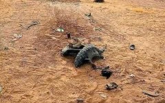 Insécurité : au moins 8 civils tués par l’explosion d’une mine artisanale près de Baroua (Diffa)