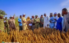 Suivi de la campagne agro-pastorale : le ministre Bilaly dans la région de Niamey