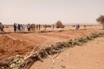 Massacre à Arboudji : 21 civils assassinés par des groupes armés dans l’ouest du Niger