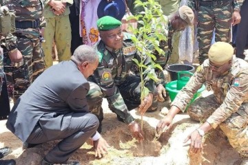 Berbékya – Zinder : le Président Tiani donne le coup d’envoi de la Journée Nationale de l’Arbre 2025, placée sous le sceau du patriotisme écologique