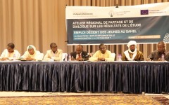 Sahel : l’Institut Néerlandais pour la Démocratie Multipartite trace une feuille de route pour l'emploi décent des jeunes et des politiques inclusives