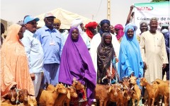 La SORAZ renforce son engagement sociétal : 240 chèvres rousses de Maradi remises à 80 femmes des villages riverain