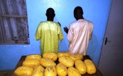 Konni : l’OCRTIS démantèle un réseau international et saisit plus de 57 kg de cannabis et des milliers de psychotropes