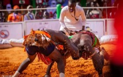 Sabre National Kokowa 2025 à Tahoua : la course au sabre se resserre, ils ne sont plus que douze