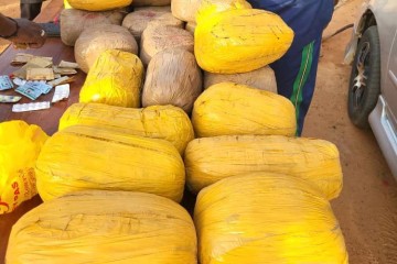Coup de filet anti-drogue à Niamey : un présumé trafiquant interpellé avec plus de 31 kg de cannabis saisis à Saga Gorou