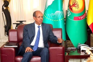 Lutte contre le terrorisme au Sahel : condamnant les récentes attaques au Niger et au Mali, l’UA plaide pour une coopération régionale