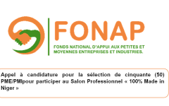 Appel à candidature pour la sélection de cinquante (50) PME/PMIpour participer au Salon Professionnel « 100% Made in Niger »