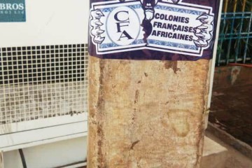 Mobilisation citoyenne au Niger pour la souveraineté monétaire : il est temps d’en finir avec le franc CFA