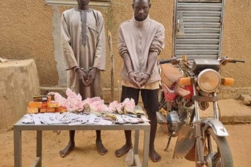 Lutte antidrogue à Matameye : une importante cargaison saisie et deux suspects interpellés à Youri