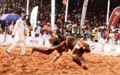 Sabre National Kokowa Tahoua 2025 : une première journée déjà riche en intensité et en enseignements