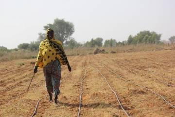 Le potentiel de transformation de l’irrigation goutte à goutte pour les agricultrices au Niger (Par  Sara Ockman et Richard Colback)